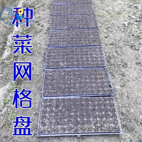 种菜网格盘生菜育苗营养穴盘压y孔器播种压穴板泡沫漂浮盘播种工