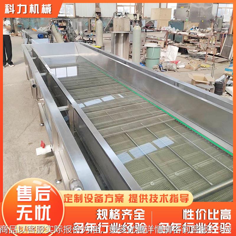 蔬菜气泡清洗机 商用DWB多功能清洗果机 不锈钢蔬蔬清果洗流水线