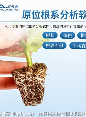 位KRY根系析仪平面原位根系原监测系统物根系分生长监测植系统