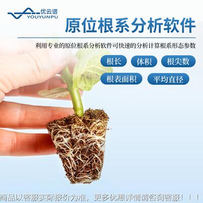 位KRY根系析仪平面原位根系原监测系统物根系分生长监测植系统