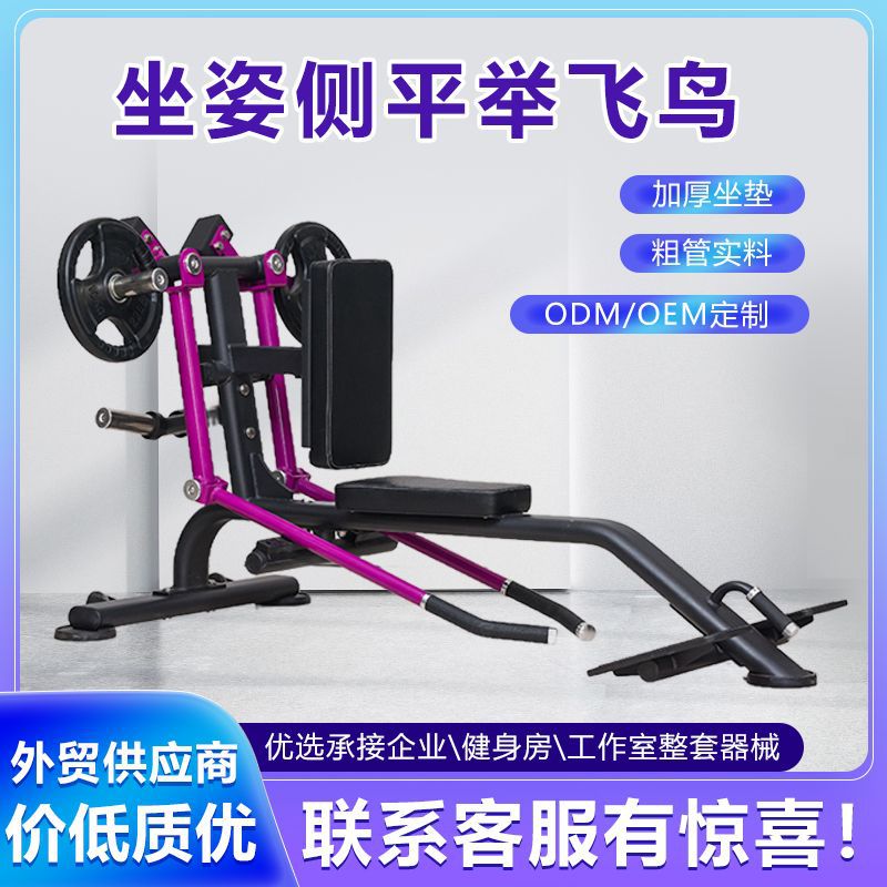商用坐姿侧平举健身房三角肌训练器材侧抬臂肩部推举训练器专业