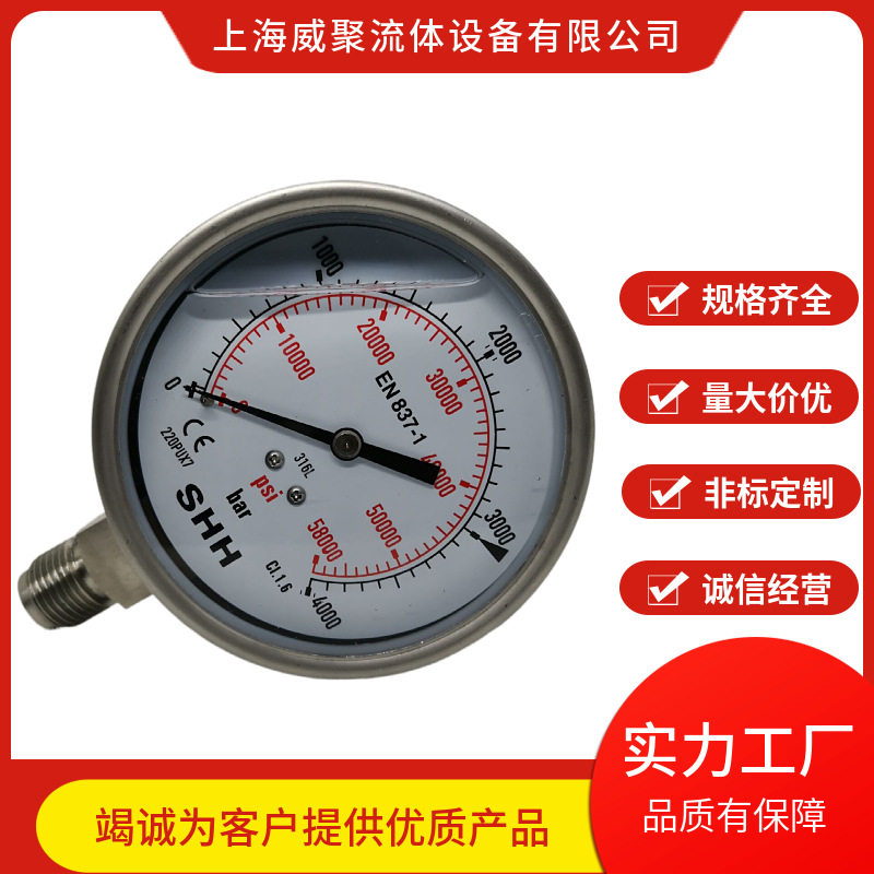 不锈钢高压防震压力表300MPA。径向外螺纹3000BAR公斤轴向内螺纹