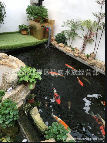 专业锦鲤鱼池建造鱼池过滤系统设计改造过滤系统清洗