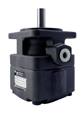 Ylc仙居永灵中压油泵Ybd-2.5 6 10 16 25 32 40 50 63 80叶片泵