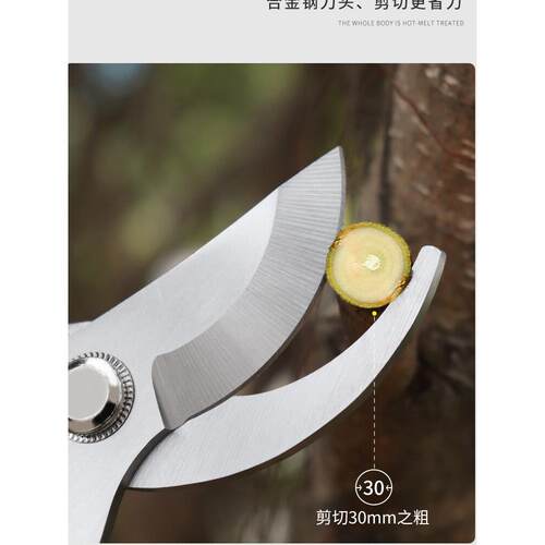 三角梅修剪 剪枝剪刀 修剪树枝剪刀强力修花剪园艺剪刀花卉园林