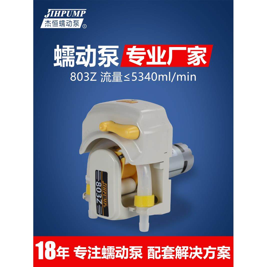 洁恒803Z软管蠕动泵大流量实验室计量泵饮料灌装机直流24V水泵