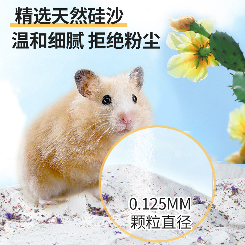 仓鼠浴沙尿沙二合一杀菌除臭龙猫专用洗澡沙漠沙金丝熊小仓鼠用品