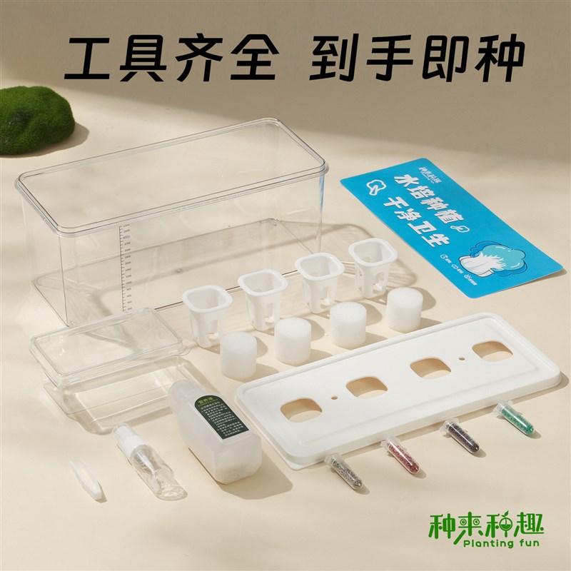 无土栽培智能花盆家庭水培蔬菜设备学生实验室观察生菜水耕种菜机