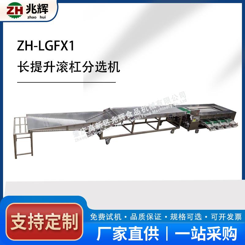 红薯分级机滚杠式选果机每小时10吨以上土豆分级天麻分选机