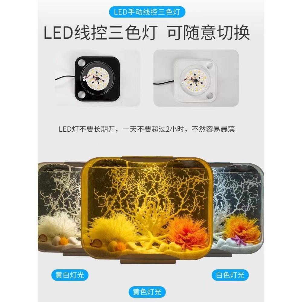 多彩鱼缸照明灯可定制鱼缸水草灯