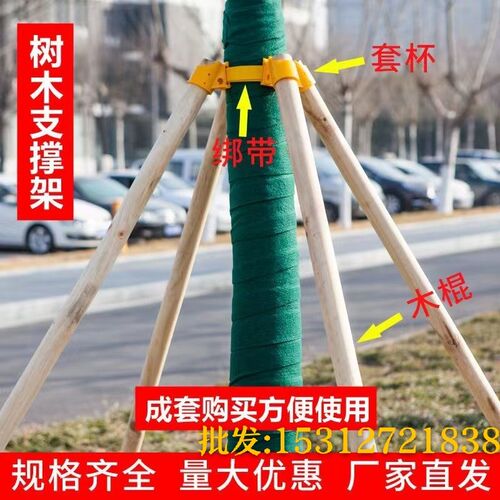树木支撑杆苗木杉木杨木松木支撑架F绿化防风固定架套杯三四脚架