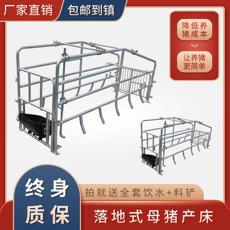 落地式母猪产床简易猪产床单体产床猪栏定位限位栏猪设备养殖设备
