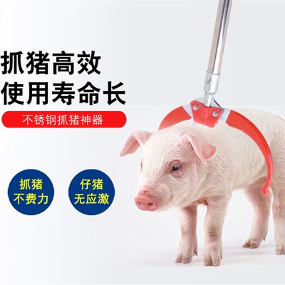阉割架小猪 阉割器不锈钢仔猪用阉E猪器阉割刀工具抓猪器 阉猪架