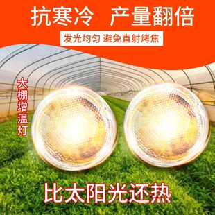 大棚增温灯农用蔬菜植物防寒取暖灯水果花卉种植保V暖灯花房保温