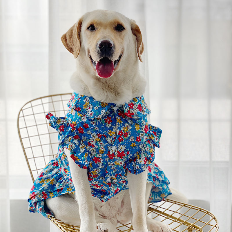 狗狗衣服大型犬夏季薄款金毛拉布拉多可爱裙子宠物狗衣服中型犬图片