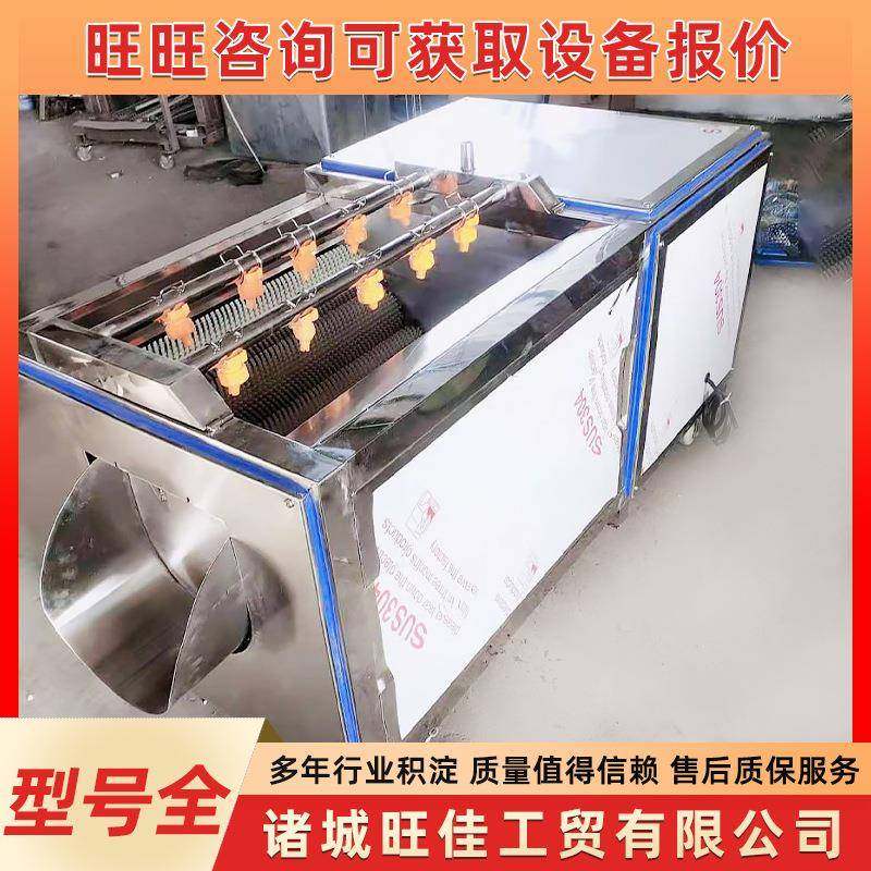 胡萝卜毛刷清洗机莲藕山药毛辊清洗机商用不锈钢毛辊去皮清洗机,清洗/食品/商业设备,其他食品加工设备,淘宝优惠券,粉丝福利购,淘宝优惠卷