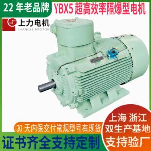 YBX5-132M2-65.5w高效防爆电机上海防爆证支持验厂质保一年