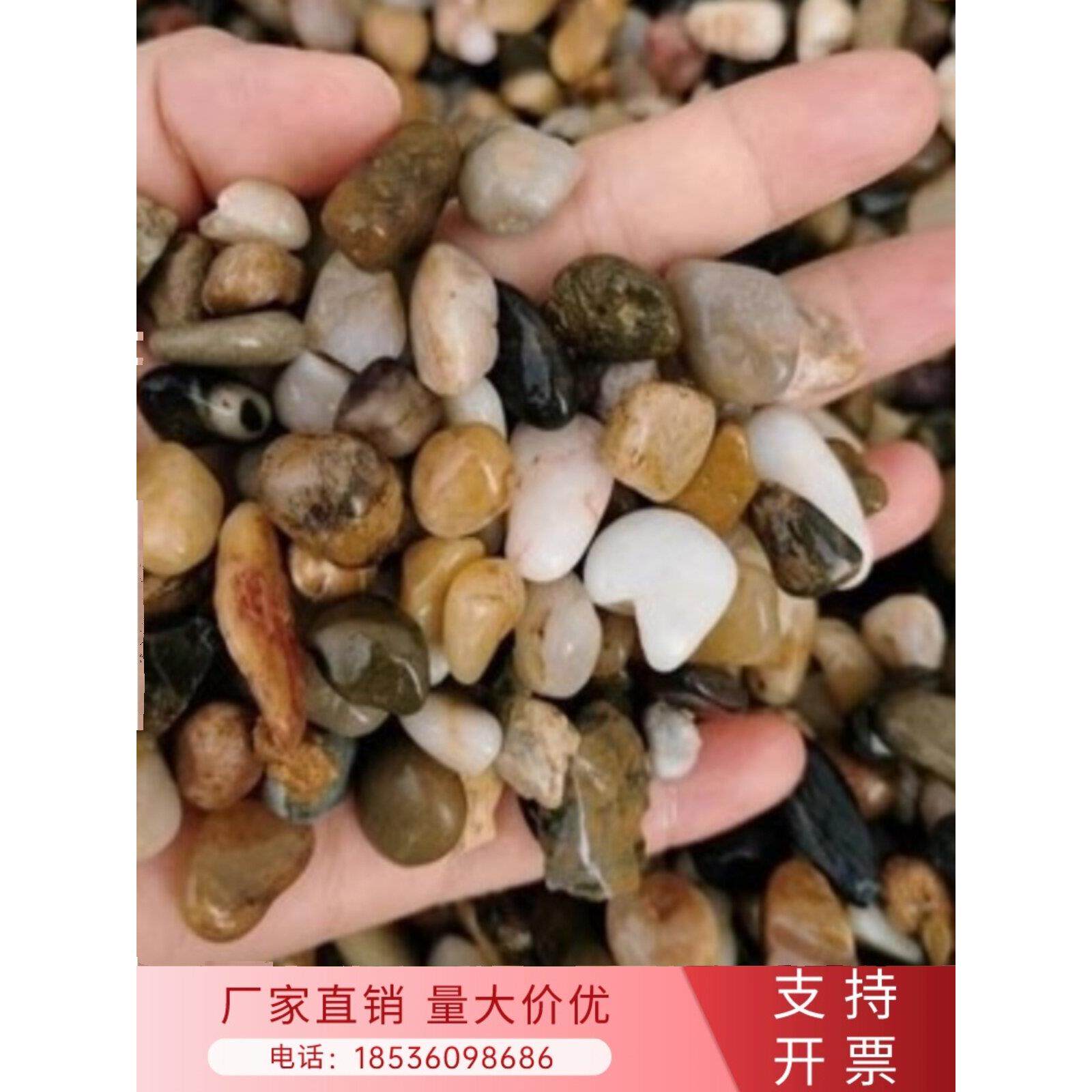 广西豆石雨花石原石天然鹅卵石鱼缸造景石头沼泽过滤碎石粒地暖