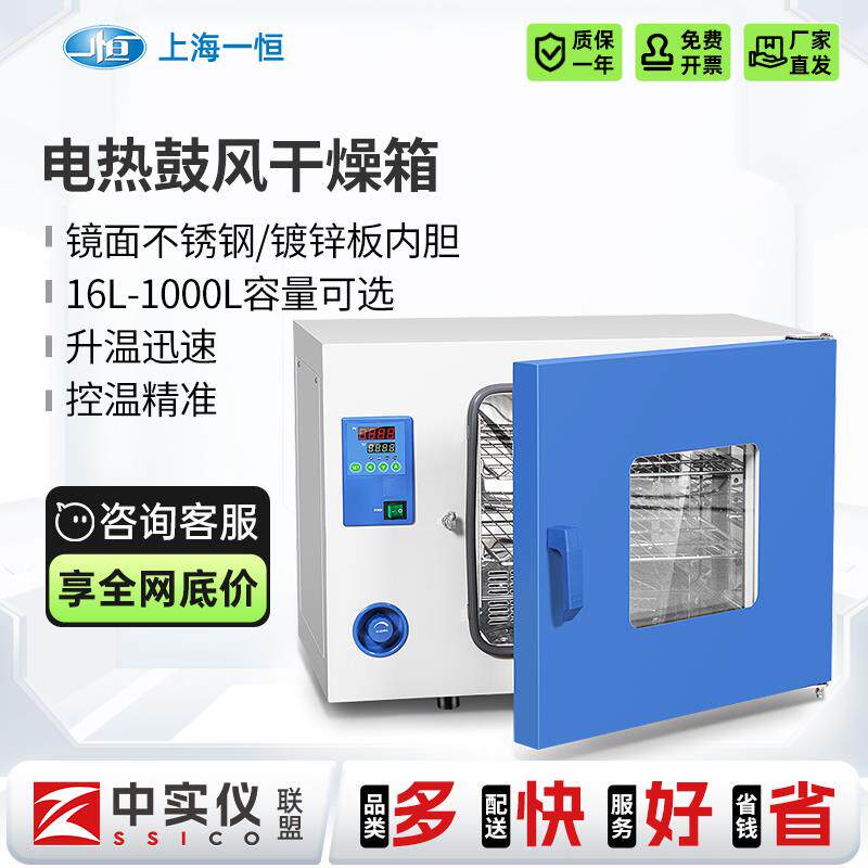 一恒电热鼓风干 干燥箱实验室小型精密高温自然对流恒温培养工业
