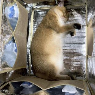 猫空调房间夏季 冰袋冷却神器宠物 特别封闭猫窝可折叠便携式