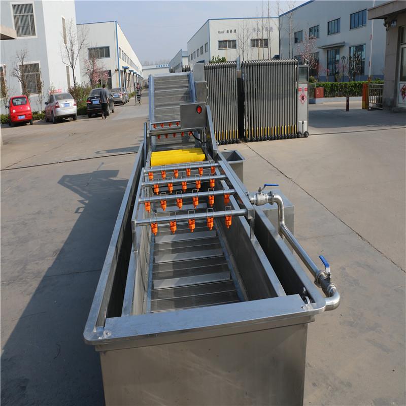 猴头菇清洗机超声波清洗机不锈钢叶菜类喷淋式洗菜机大枣清洗机