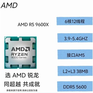 AMD RYZEN R5 9600X 9代 散片