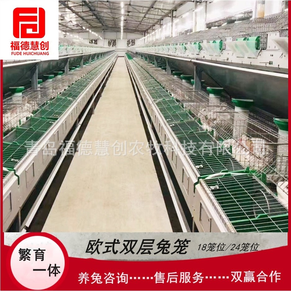 工厂 母兔子繁殖笼欧式兔笼设备 双层热镀锌丝兔笼,清洗/食品/商业设备,选果机/分选机,淘宝优惠券,粉丝福利购,淘宝优惠卷