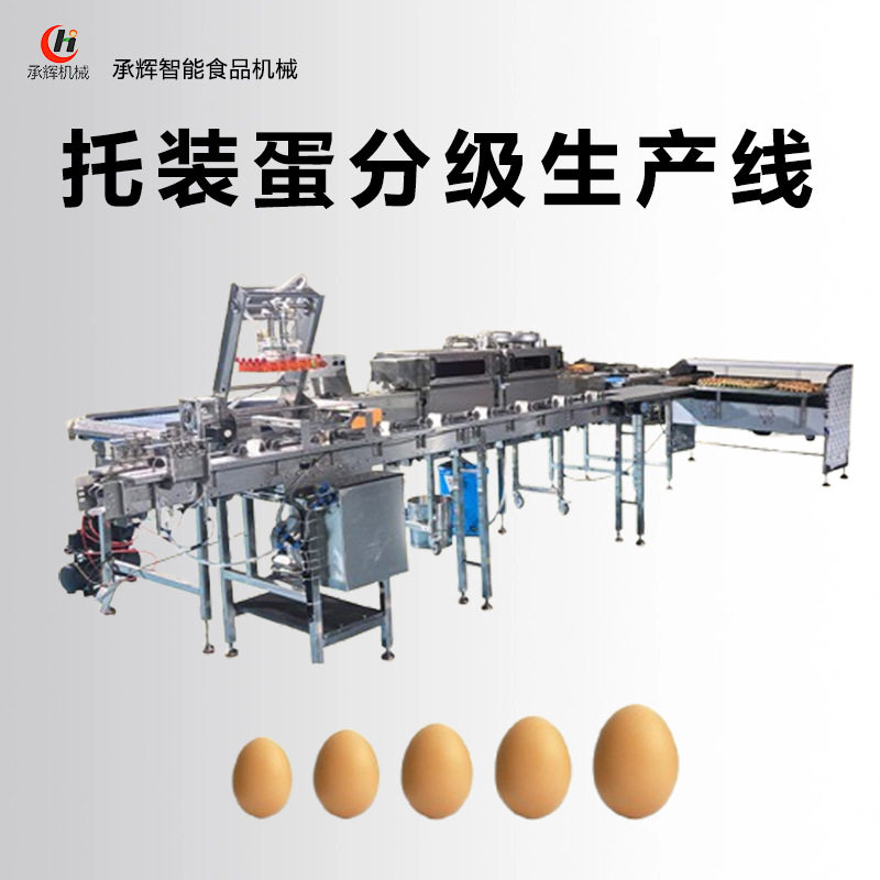 郑州承辉鸡蛋鸭蛋分级生产线托装蛋抓取流水线一体化智能智能分级,清洗/食品/商业设备,选果机/分选机,淘宝优惠券,粉丝福利购,淘宝优惠卷