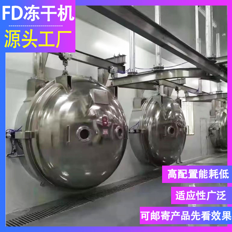 出厂价食品冷冻干燥机用于水果蔬菜 咖啡骆驼奶粉冻干机大型