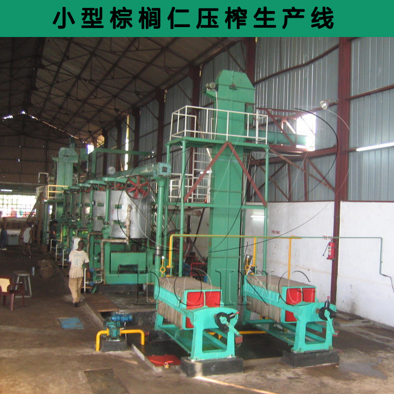 国瑞油脂 大型棕榈仁自动化加工产线 运行稳定棕榈仁油压榨设备