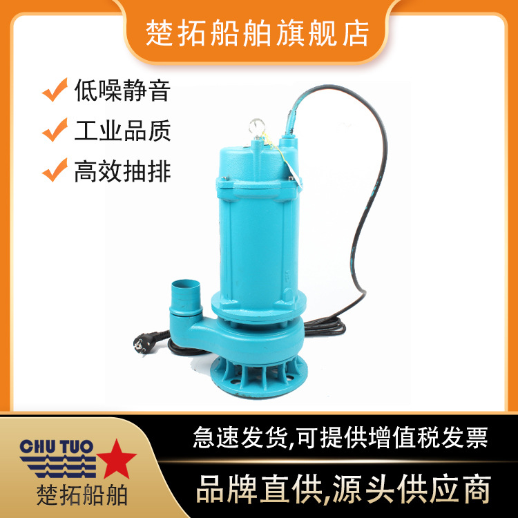 电动潜水泵IMPA591623井水泵污水泵抽水泵农用灌溉水泵110V