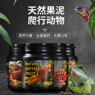 爬宠爬虫水果饲料睫角守宫鬃狮蜥蜴粮两栖爬行动物口味动食物