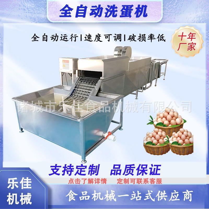 裹泥蛋去泥洗蛋机 包灰蛋皮蛋清洗设备 无菌蛋杀菌光检洗蛋机