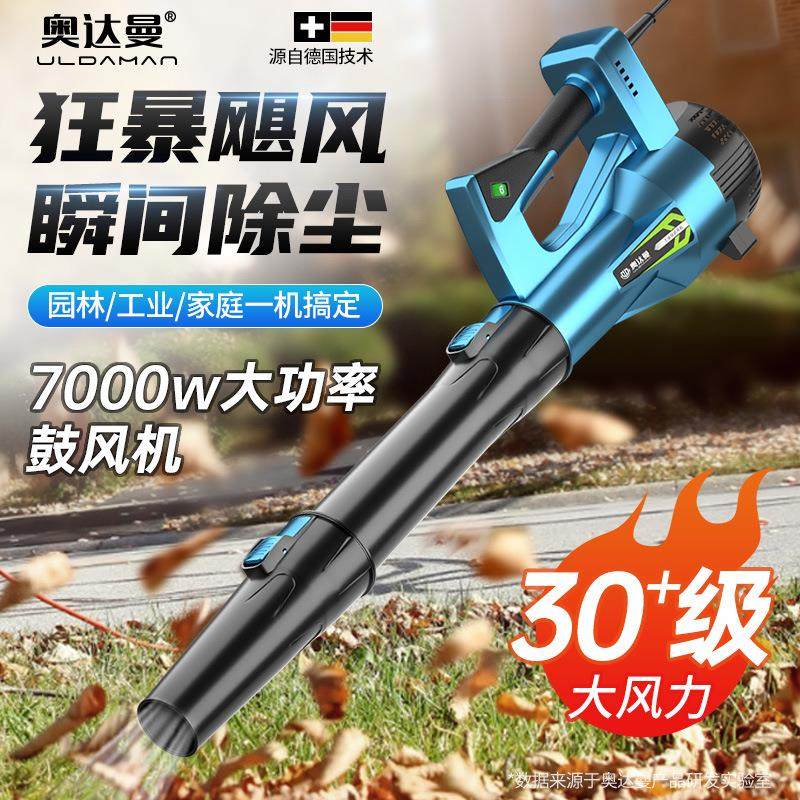 鼓风机吹灰尘大功率锂电吹风机工业用220v暴风枪强力吹树叶吹雪机