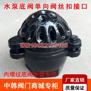 H12X 10内螺纹底阀止回阀铸铁吸水阀抽水泵底阀DN40 100