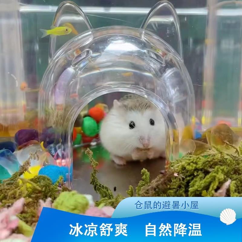 仓鼠海景房苍鼠冰屋金丝熊躲避屋睡窝造景用品夏天避暑小房子