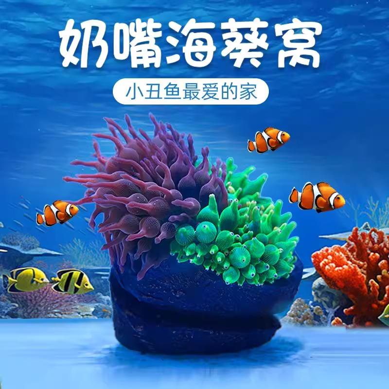 幽影奶嘴海葵窝造景摆件鱼缸造景海缸造景奶嘴固定防跑躲避罐