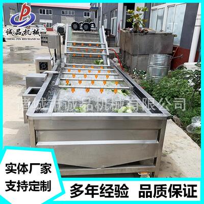 提升泡式青辣气清洗豆角机芸豆气泡清洗机土豆红薯DUJ气椒泡清洗