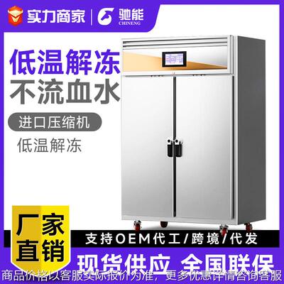 智能解冻柜商用抑菌冷藏保鲜不锈钢立式大容量生鲜牛猪肉解冻