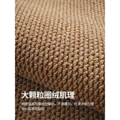 天津崔黄口彷剑麻地毯客厅茶几垫2025新款耐磨防猫抓卧室床边地垫