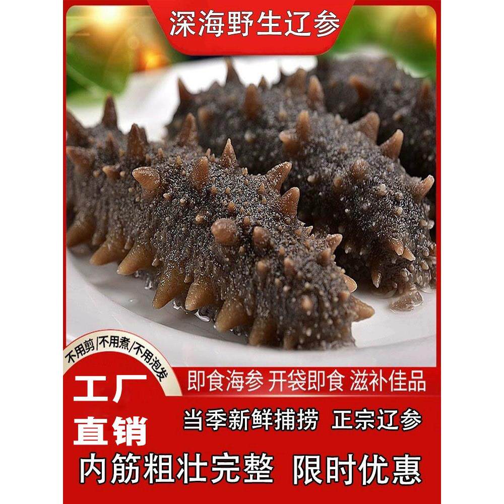 即食海参鲜食海参 野生即食大连海参辽参刺参海生鲜食单个装 海参