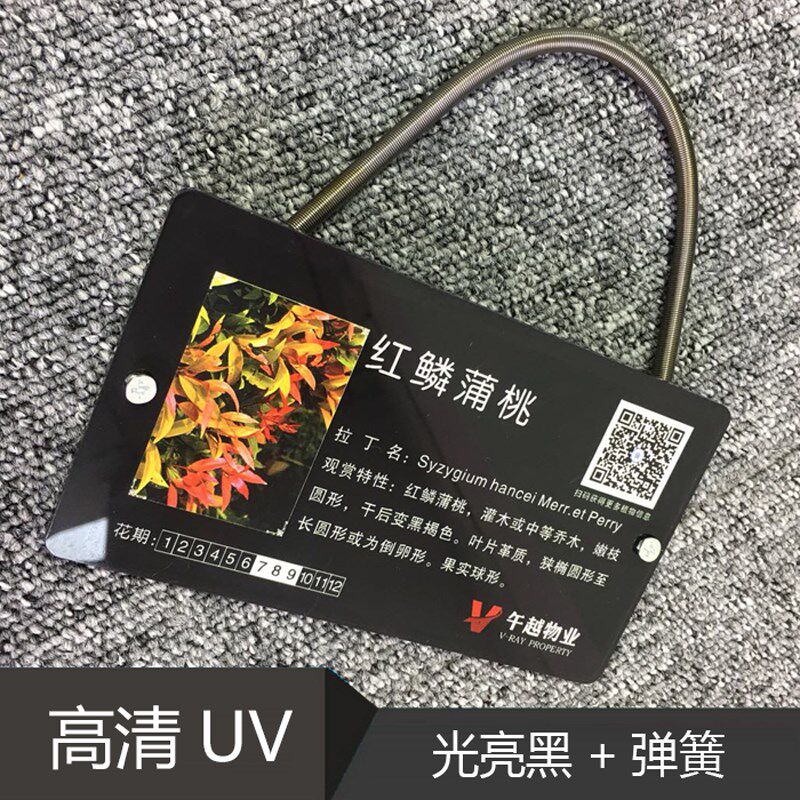 花草牌亚克力树牌植物绿t化标识志牌树木介绍挂牌木广告牌定制做