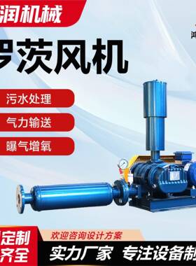 浙江三叶罗茨鼓风机章丘风机厂家SR300污水曝气高压风机送风