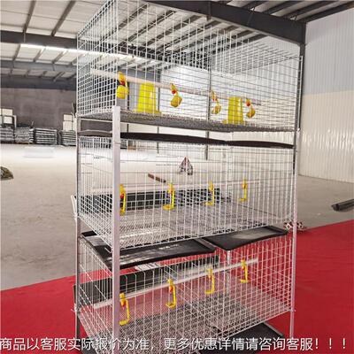 应厂家供粪 加密小雏鸡笼鸡笼HCI养殖鸡笼育笼雏家用家禽自动