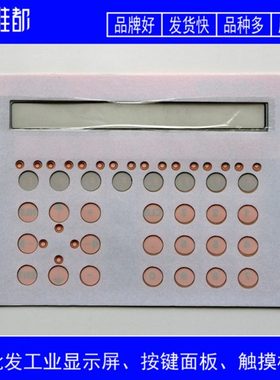 劳尔 LAUER PCS 200 PG 200.011.F按键面板 可定做