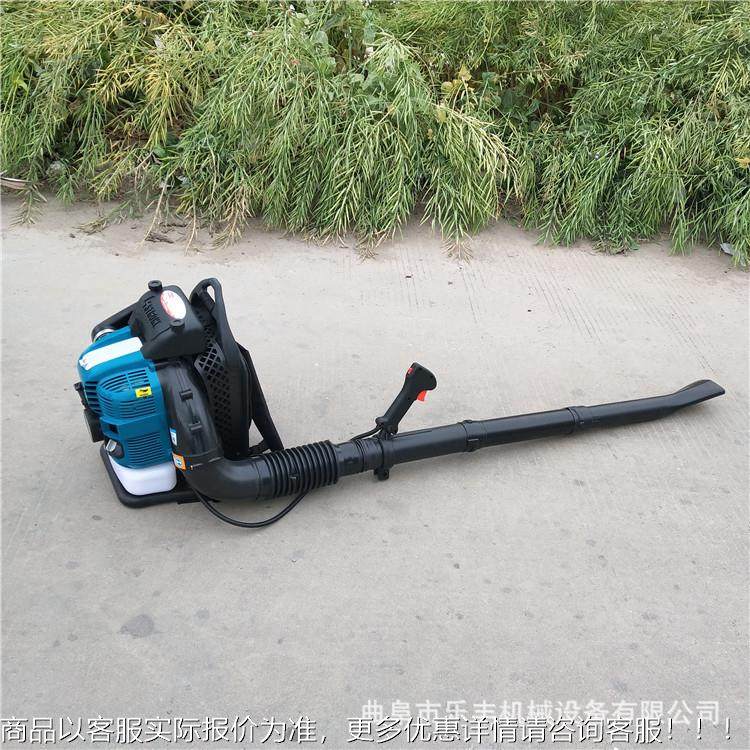 冲四LF-50程油吹风机 背负式大功率吹雪机型 小吹风机汽型号,农机/农具/农膜,植保机械,淘宝优惠券,粉丝福利购,淘宝优惠卷
