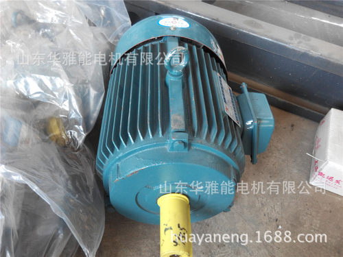 HM2电机带防雨罩HM2-250M-4-55KW电机耐高温电机确保法兰外径尺寸