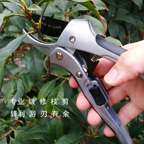 园艺剪刀花枝剪果园树枝剪园林剪家用花剪果树剪刀滑轮省力修枝剪