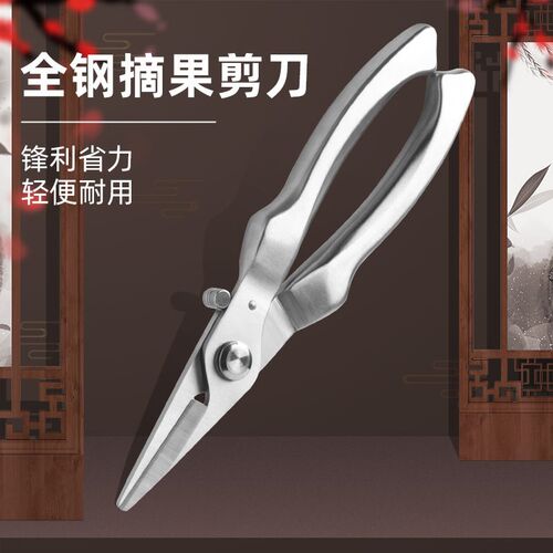 厂家现货园林修枝剪全钢花枝果树剪不锈钢稀果多功能园艺剪摘果剪