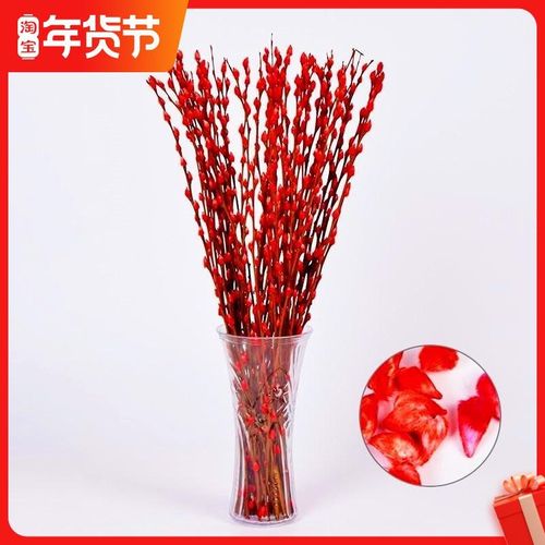 红色银柳干花花束真花鲜枝水养开花植物年宵花卉室内装饰客厅摆件